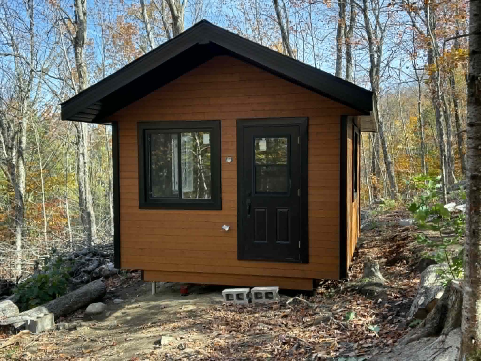 Petit camp en bois teint avec cadres et porte noirs, en pleine forêt d'automne, réalisé par Construction Provençal